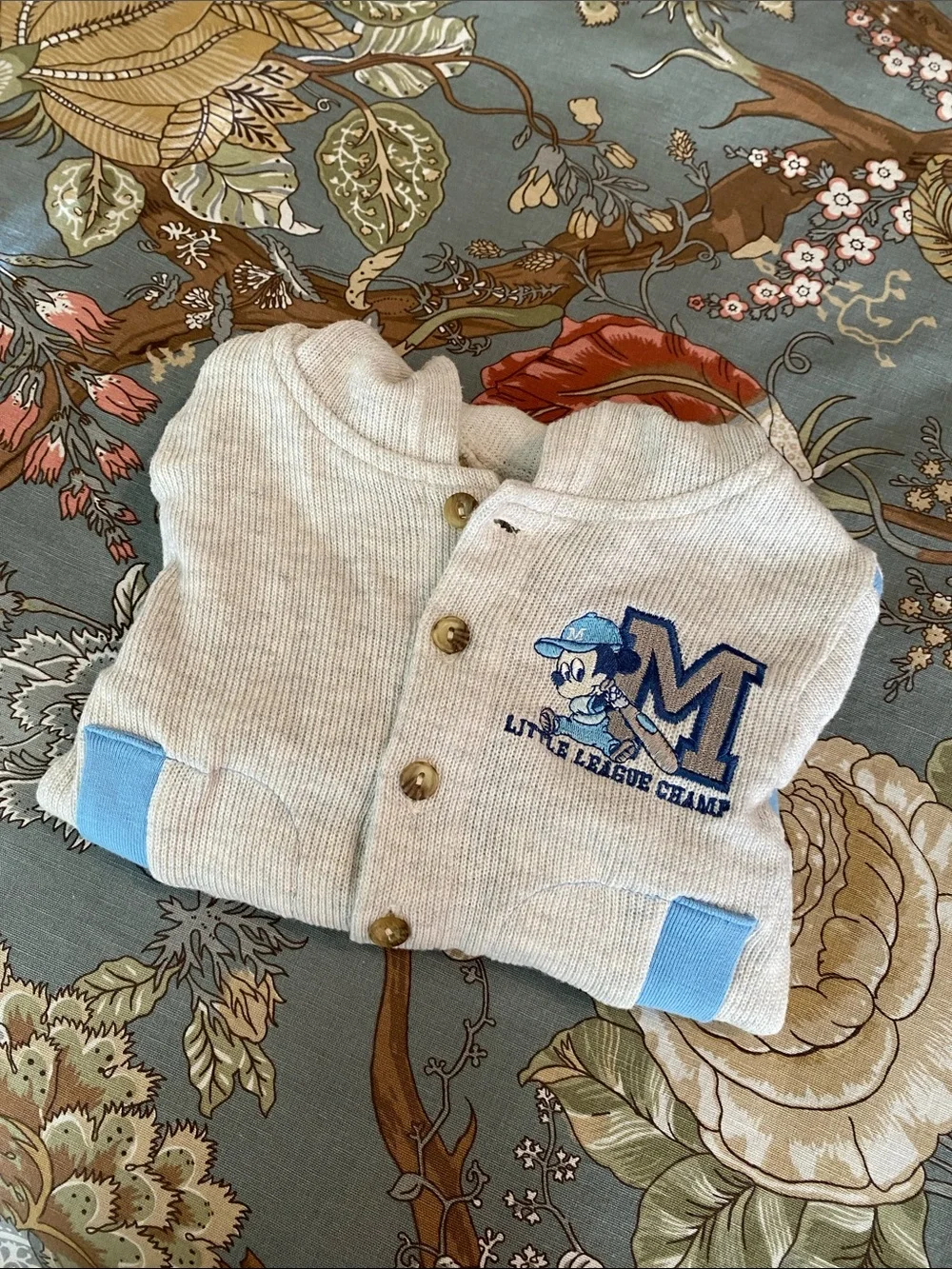 Mickey & Co Hoodie
